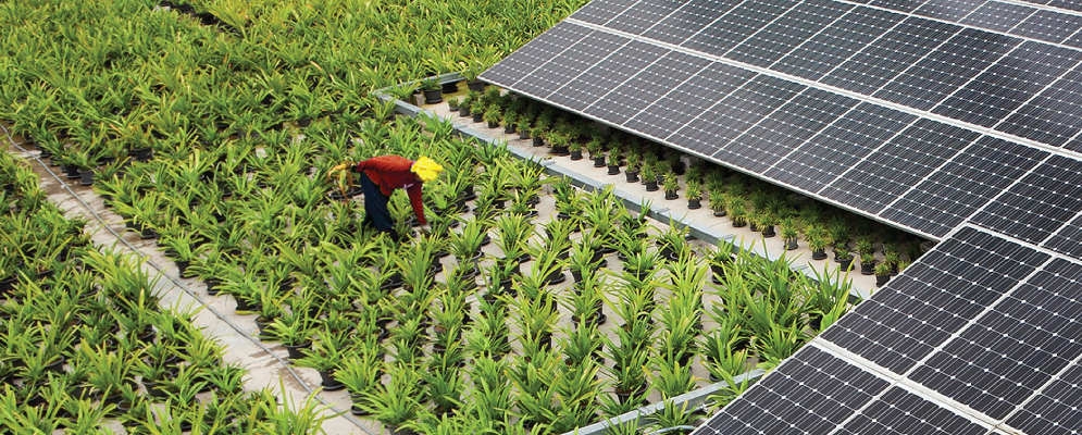 Phân tích tiềm năng điện mặt trời ở Indonesia