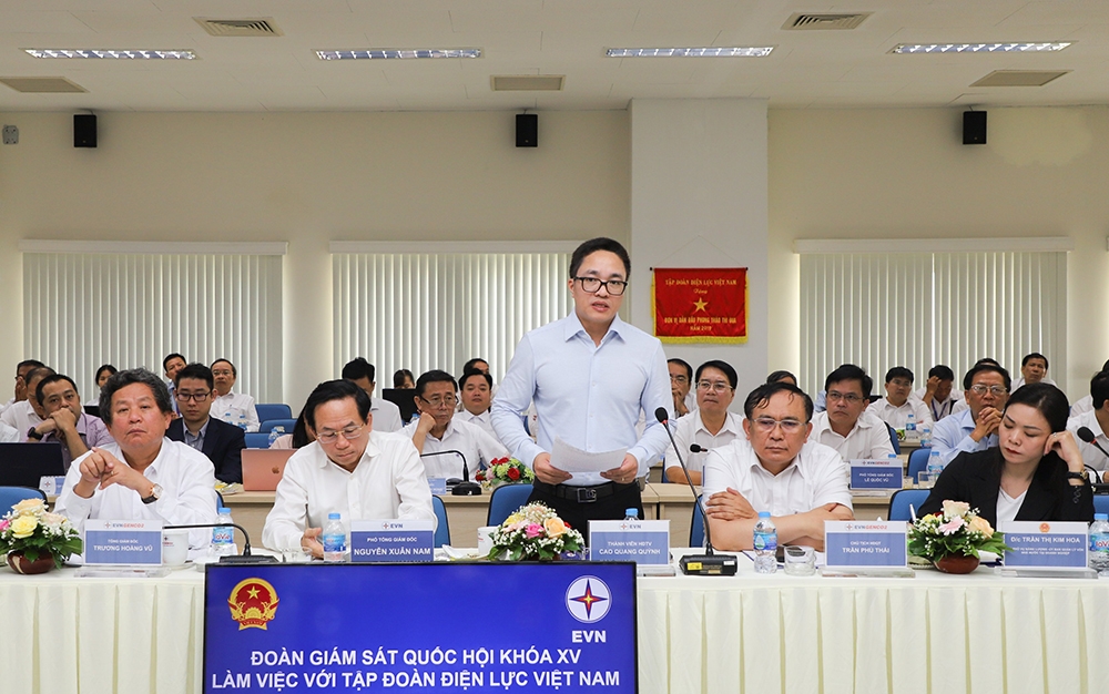 Đoàn giám sát của Quốc hội làm việc với EVN về dự án Trung tâm Điện lực Ô Môn