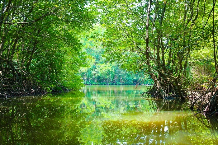 Trải nghiệm thú vị ở Khu du lịch sinh thái Vàm Sát