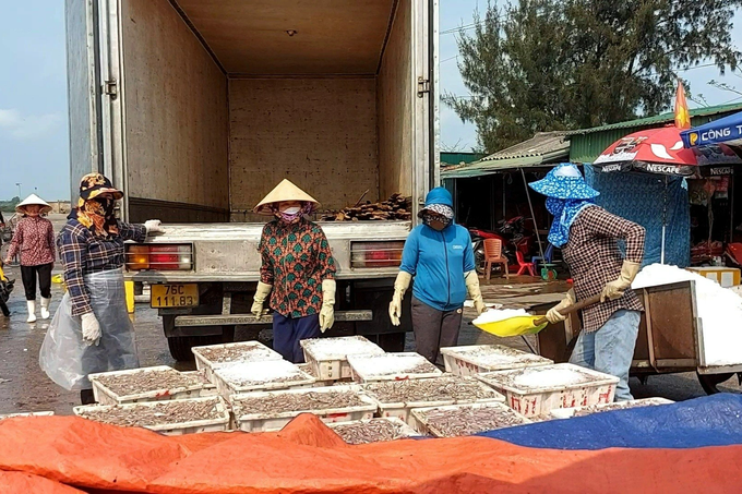 Ngư dân trúng đậm cá cơm, bốc xếp bán hàng mỏi tay - 3 Ngư dân trúng đậm cá cơm, bốc xếp bán hàng mỏi tay - 3