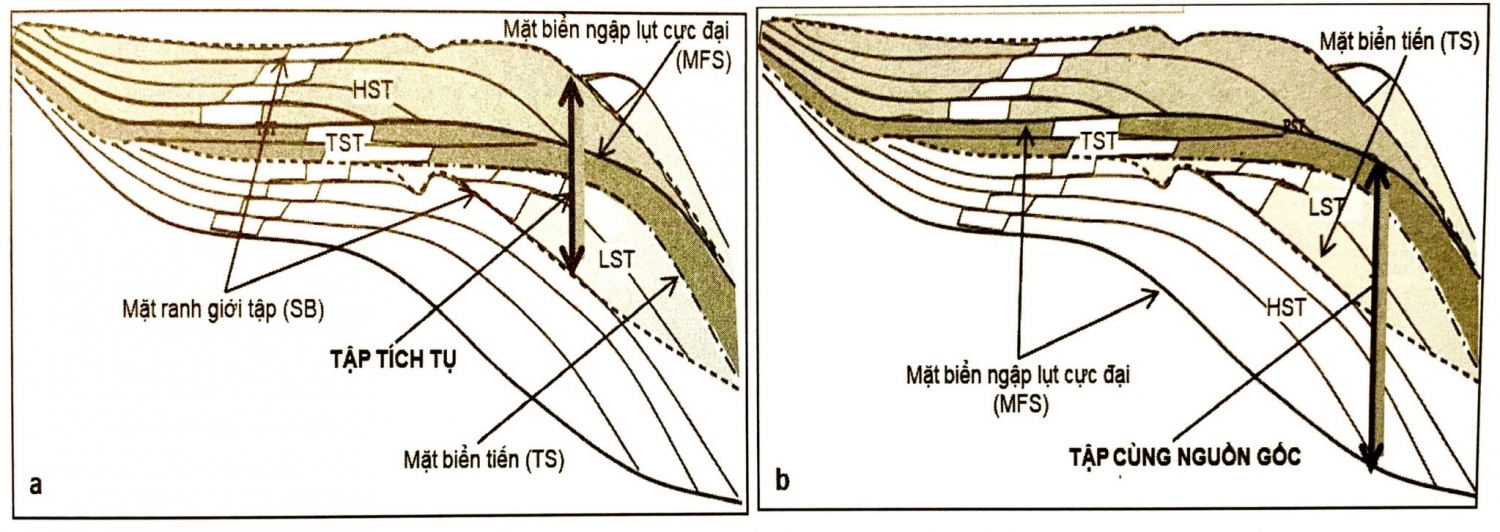 Tập trầm tích
