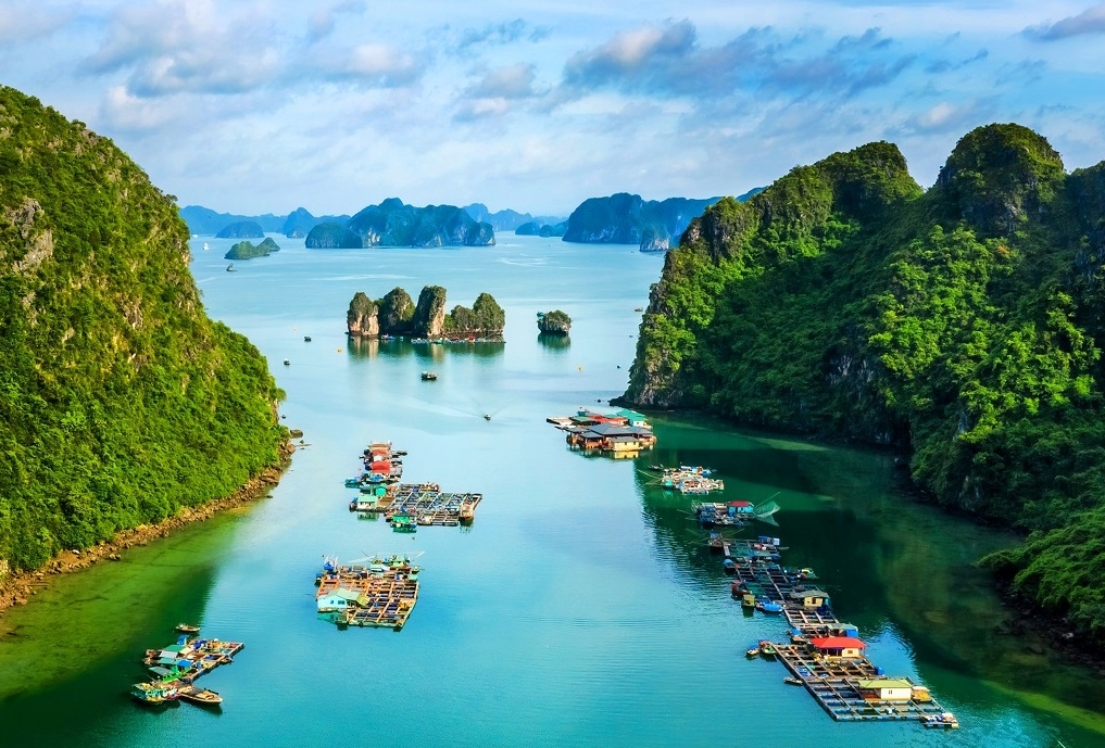 Làng chài Cửa Vạn - Ốc đảo xanh trong lòng di sản Làng chài Cửa Vạn -