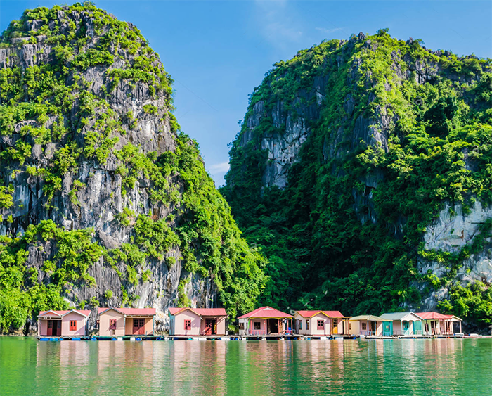 Làng chài Cửa Vạn - Ốc đảo xanh trong lòng di sản Làng chài Cửa Vạn -