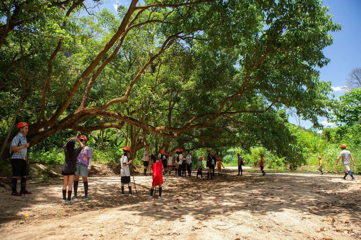 Trải nghiệm các trò chơi trên cây và hoạt động qua đêm tại OZO Park