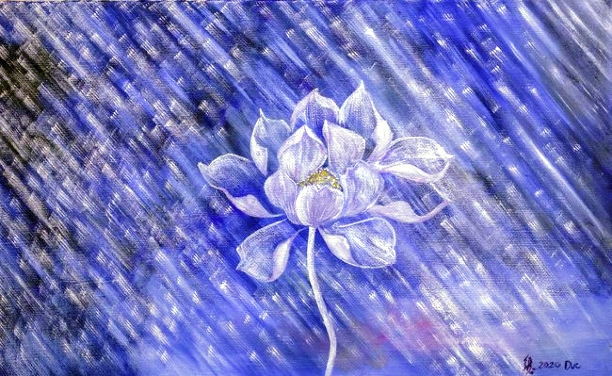 Trưng bày nghệ thuật 