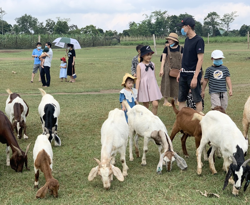Gia Lai: Pleiku hội đủ điều kiện phát triển du lịch xanh Gia Lai: Pleiku hội đủ điều kiện phát triển du lịch xanh