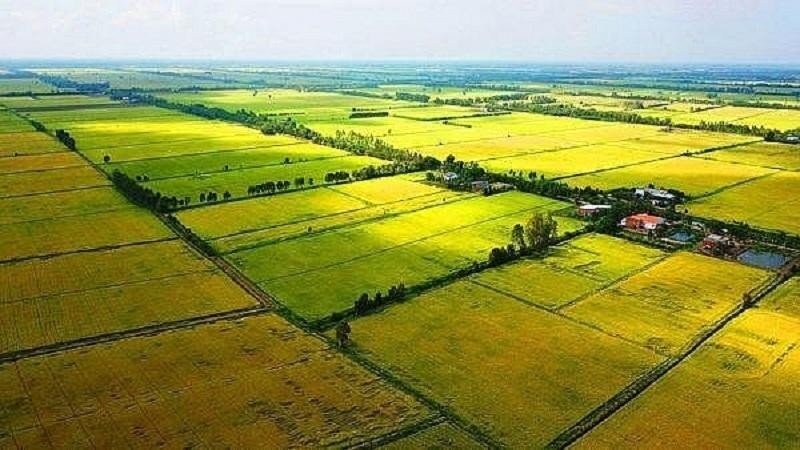 Tin bất động sản ngày 4/4: Hà Nội yêu cầu xử lý dứt điểm công trình xây dựng trên đất lấn chiếm Tin bất động sản ngày 4/4: Hà Nội yêu cầu xử lý dứt điểm công trình xây dựng trên đất lấn chiếm