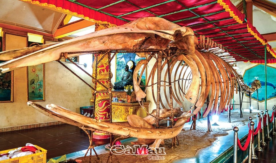 Hòn đảo hơn 100 triệu năm trên biển Tây Cà Mau