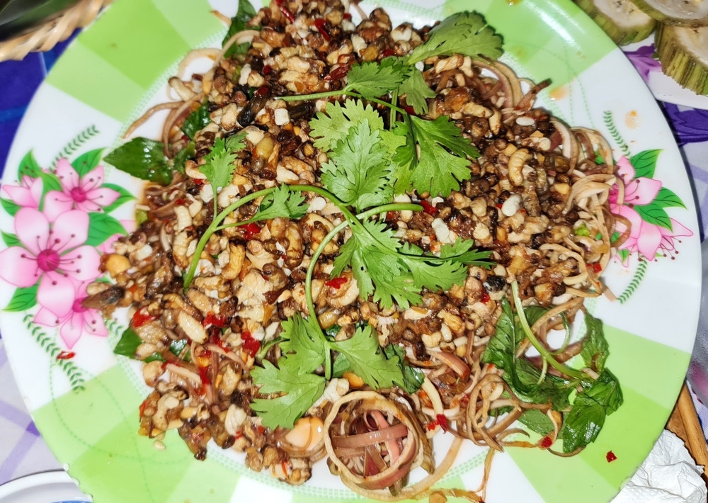 Du lịch Cà Mau: Thích thú từ rừng đước đến rừng tràm