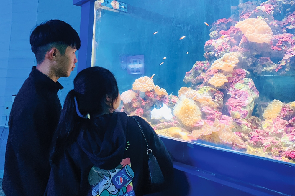 Nơi lưu giữ ký ức biển cả