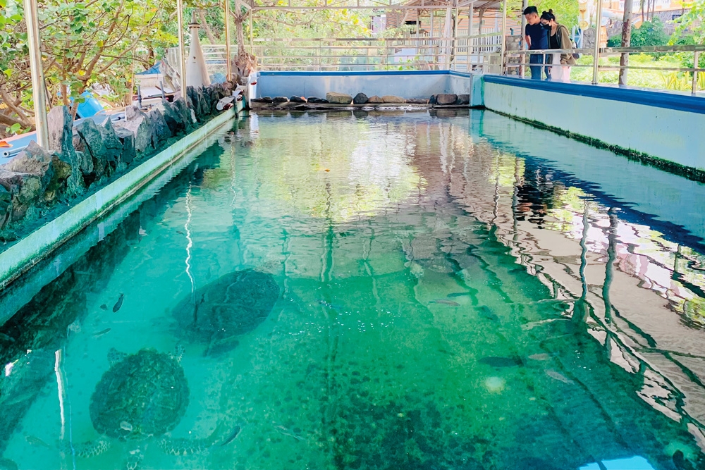 Nơi lưu giữ ký ức biển cả