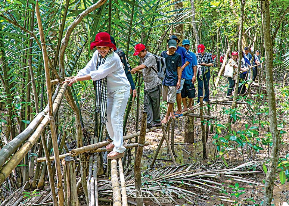 Khám phá Cù Lao Dung
