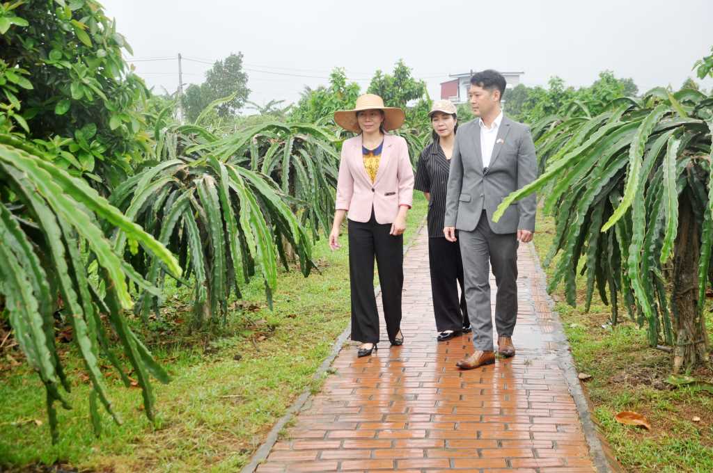 Quảng Ninh: Hứa hẹn sức hấp dẫn từ những sản phẩm du lịch mới