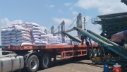 Trên 400.000 tấn sản phẩm Phân bón Cà Mau phục vụ bà con vụ hè - thu