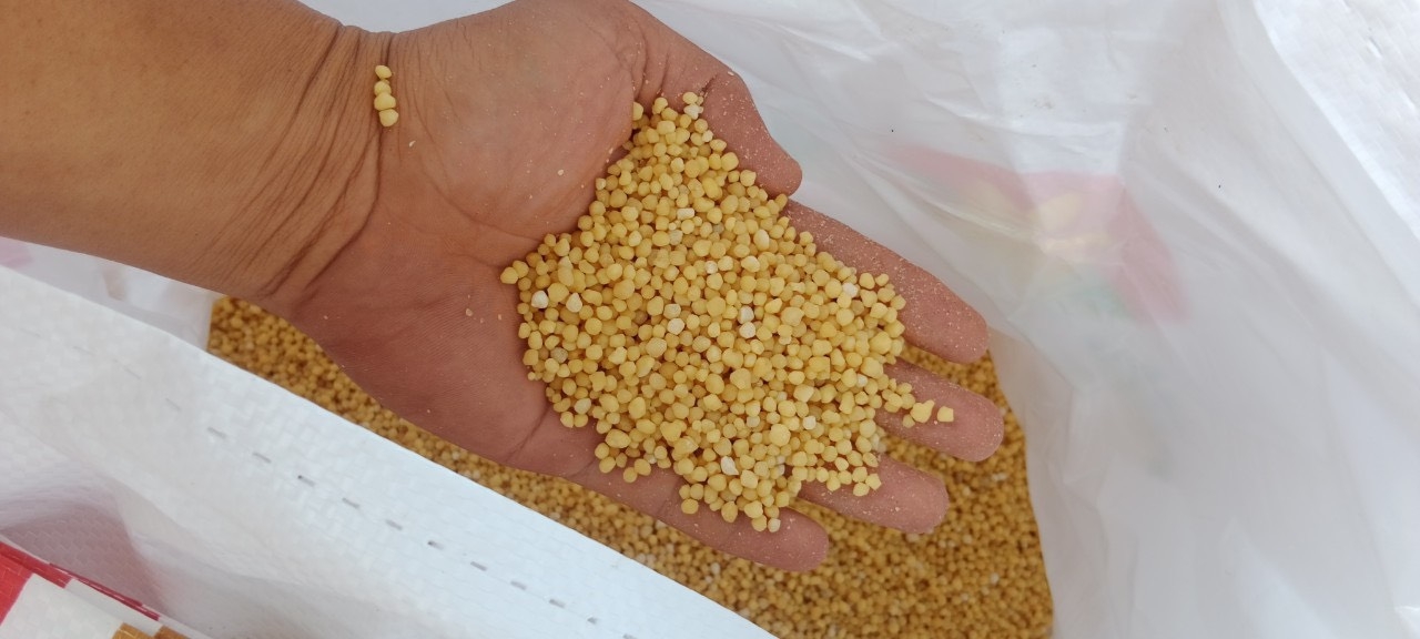 Trên 400.000 tấn sản phẩm Phân bón Cà Mau phục vụ bà con vụ hè - thu