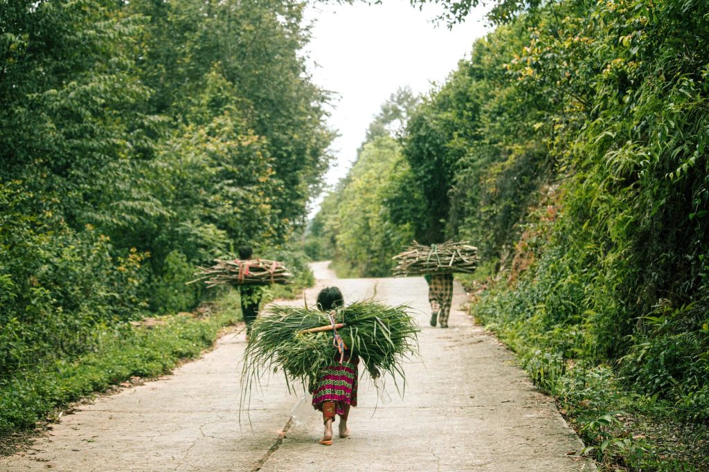 Lạc vào làng cổ trăm năm tuổi ở Hà Giang