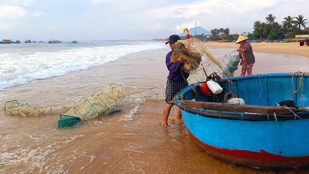 Về làng chài - đi chợ hải sản, đùa vui cùng sóng