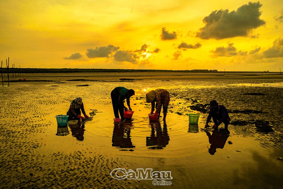 Ngắm trọn mặt trời ở Mũi Cà Mau