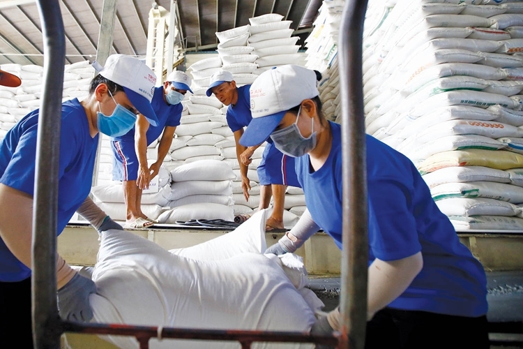 Tin tức kinh tế ngày 1/5: Giá gạo xuất khẩu Việt Nam vượt Thái Lan Tin tức kinh tế ngày 1/5: Giá gạo xuất khẩu Việt Nam vượt Thái Lan