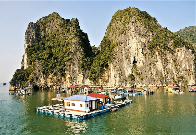 Vịnh Bái Tử Long - Vẻ đẹp bình yên "hút hồn" du khách