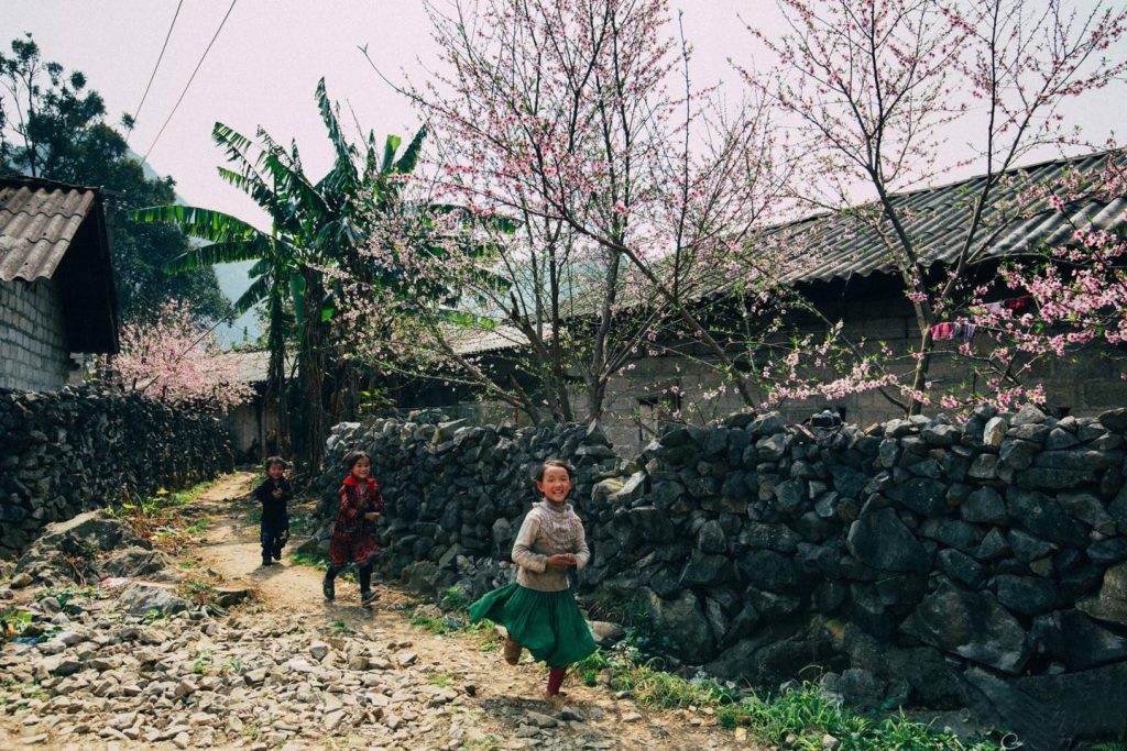 Hà Giang: Nét đẹp của những hàng rào đá