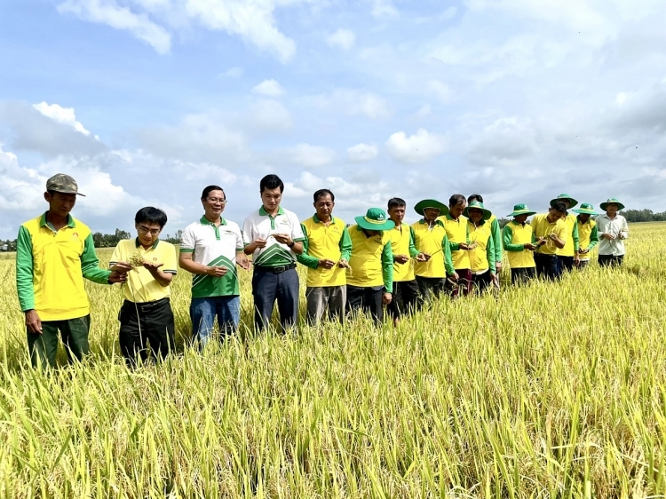 Khí thiên nhiên cho sản xuất điện, sản xuất đạm Xung quanh câu chuyện sử dụng hợp lý, có kế hoạch khí thiên nhiên cho sản xuất điện, đạm