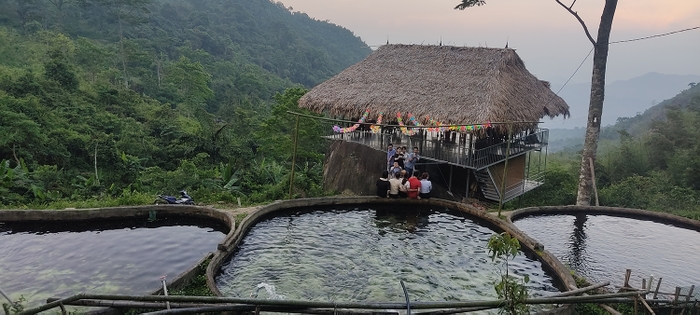 Trải nghiệm thú vị rừng trúc, khu nuôi cá tầm ở Phiêng Phàng Trải nghiệm thú vị rừng trúc, khu nuôi cá tầm ở Phiêng Phàng