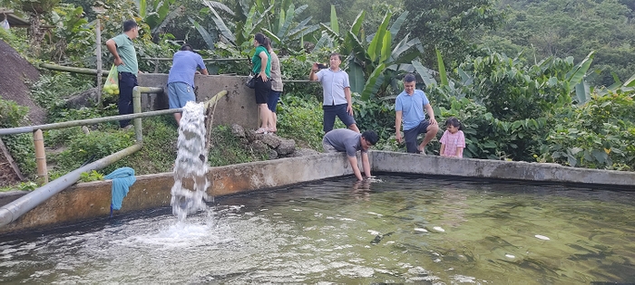 Trải nghiệm thú vị rừng trúc, khu nuôi cá tầm ở Phiêng Phàng Trải nghiệm thú vị rừng trúc, khu nuôi cá tầm ở Phiêng Phàng
