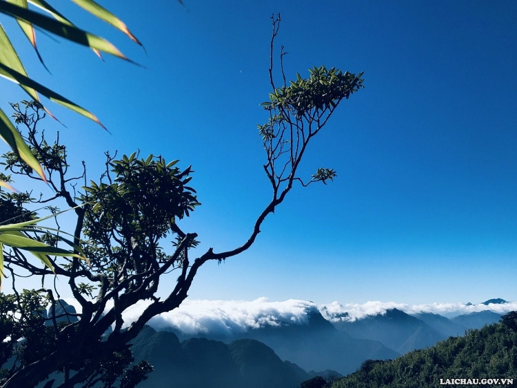 Hành trình lên đỉnh Tả Liên Sơn