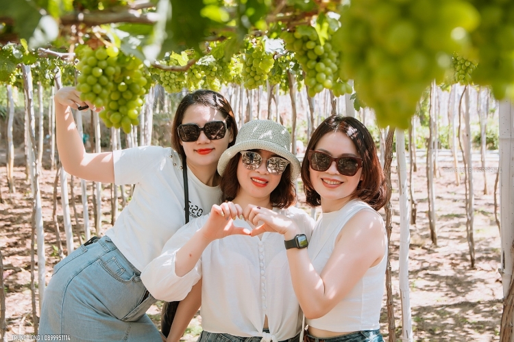 “Thủ phủ nho” Thái An không chỉ có những vườn nho trĩu quả mà có cả một bờ biển dài, đẹp đến nao lòng “Thủ phủ nho” Thái An không chỉ có những vườn nho trĩu quả mà có cả một bờ biển dài, đẹp đến nao lòng