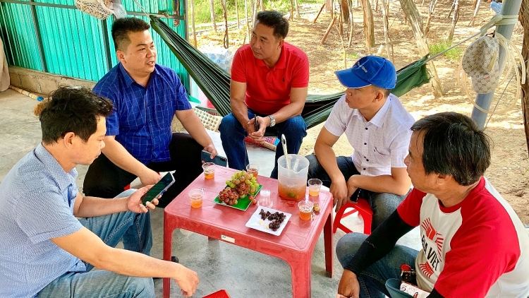 “Thủ phủ nho” Thái An không chỉ có những vườn nho trĩu quả mà có cả một bờ biển dài, đẹp đến nao lòng “Thủ phủ nho” Thái An không chỉ có những vườn nho trĩu quả mà có cả một bờ biển dài, đẹp đến nao lòng