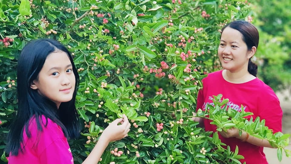 Ghé thăm Vườn Siro Ninh Thuận - Điểm đến mới hấp dẫn mùa hè