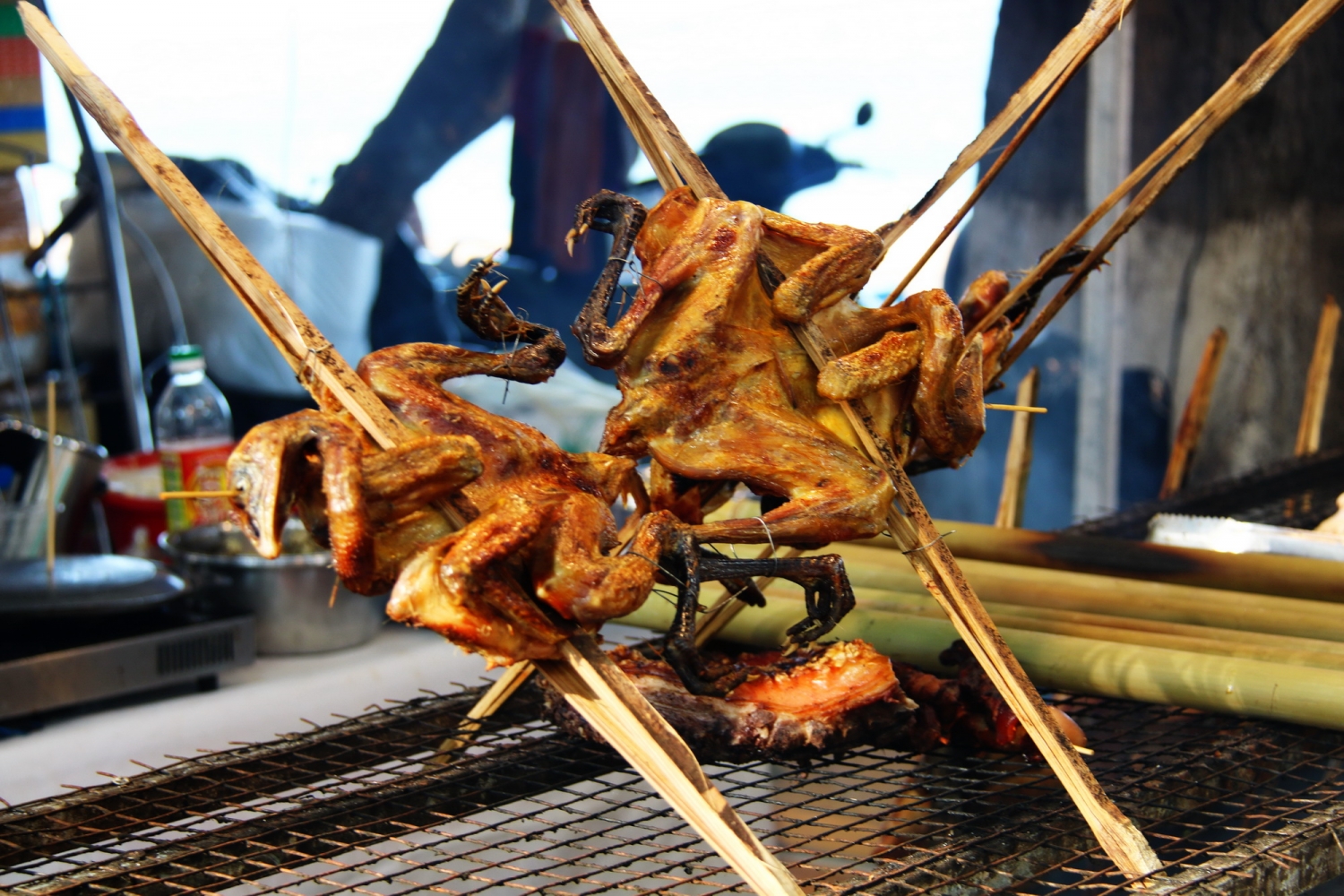 Hàng trăm món ngon trong lễ hội ẩm thực Festival Biển Nha Trang - Khánh Hòa 2023