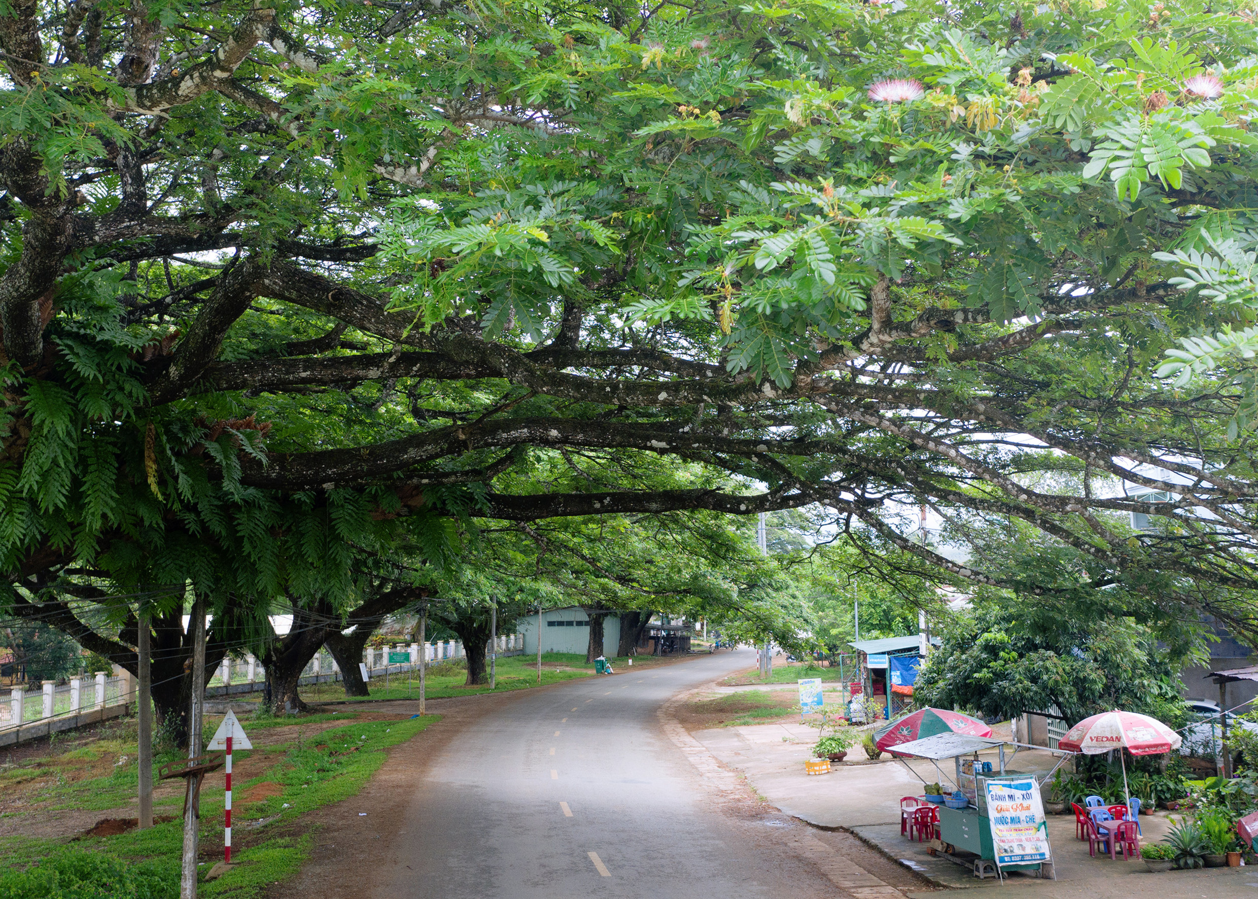Đến Đăk Tô, bạn nhớ check in địa điểm này nhé!