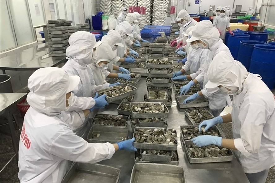 Tín hiệu lạc quan cho xuất khẩu thủy sản Tín hiệu lạc quan cho xuất khẩu thủy sản