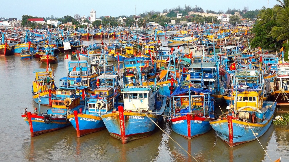 Quyết tâm gỡ “thẻ vàng” IUU vào tháng 10/2023 Quyết tâm gỡ “thẻ vàng” IUU vào tháng 10/2023