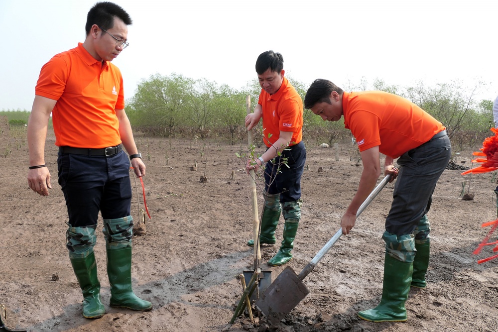 Trồng rừng - “mục tiêu kép” của PVEP trong nỗ lực giảm phát thải