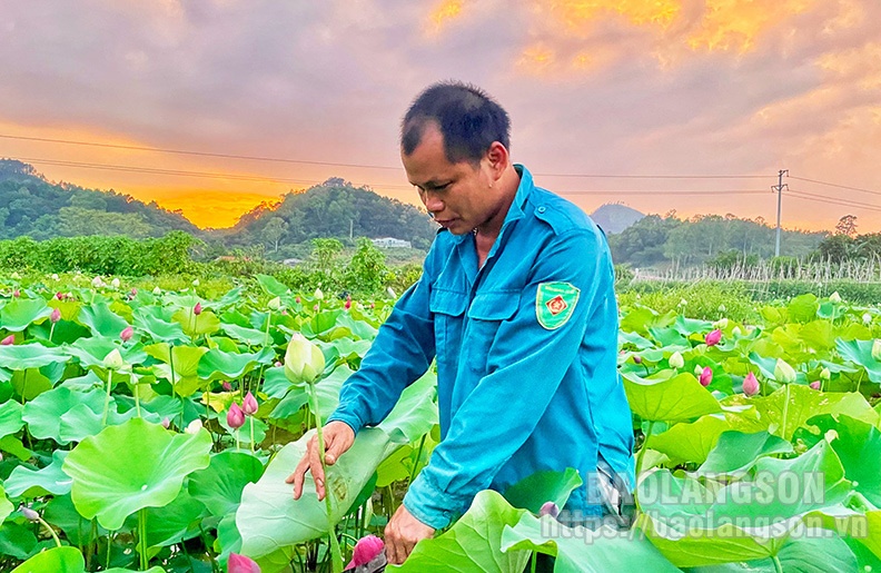 Rực rỡ sắc hoa giữa lòng thành phố Lạng Sơn