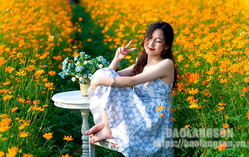 Rực rỡ sắc hoa giữa lòng thành phố Lạng Sơn