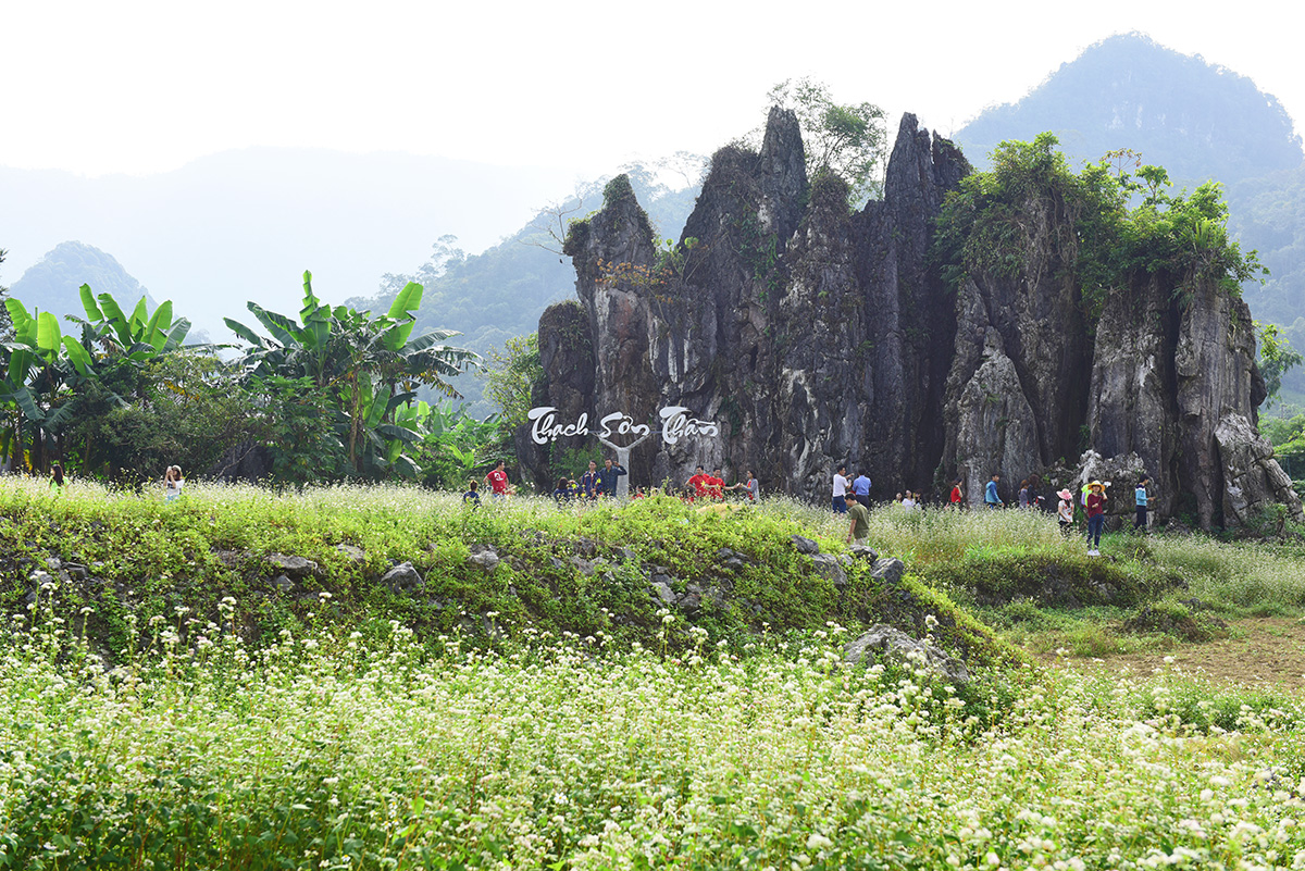 Lễ hội Hoa tam giác mạch - Sản phẩm sáng tạo của du lịch Hà Giang Lễ hội Hoa tam giác mạch - Sản phẩm sáng tạo của du lịch Hà Giang