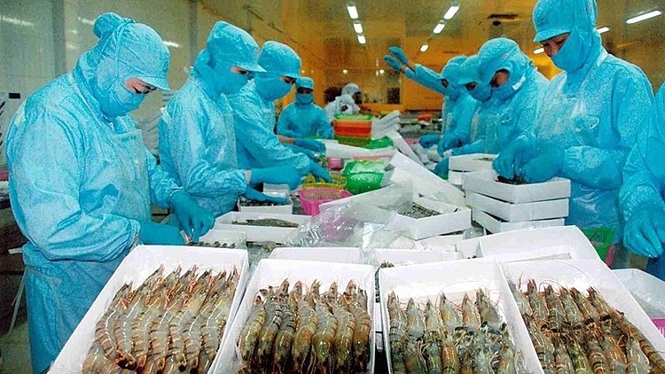 Xuất khẩu thủy sản: Khi nào thoát đáy? Xuất khẩu thủy sản: Khi nào thoát đáy?