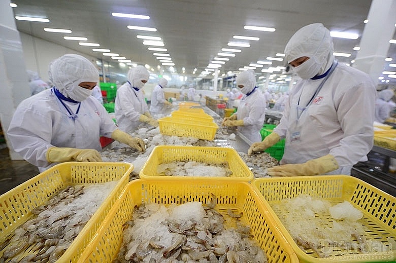 Hỗ trợ doanh nghiệp "hấp thụ" vốn để chờ phục hồi | Doanh nghiệp Hỗ trợ doanh nghiệp "hấp thụ" vốn để chờ phục hồi | Doanh nghiệp