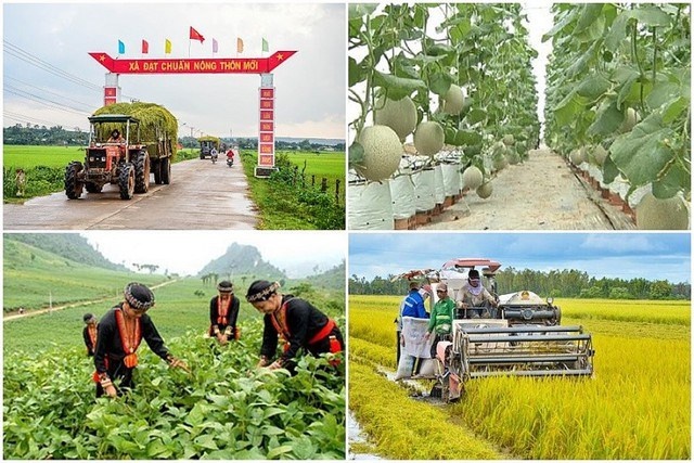 Thúc đẩy triển khai thực hiện 03 chương trình mục tiêu quốc gia (Ảnh minh họa). Thúc đẩy triển khai thực hiện 03 chương trình mục tiêu quốc gia (Ảnh minh họa).