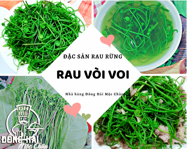 Du lịch Mộc Châu tháng 6, tháng 7 và những điều bạn cần biết
