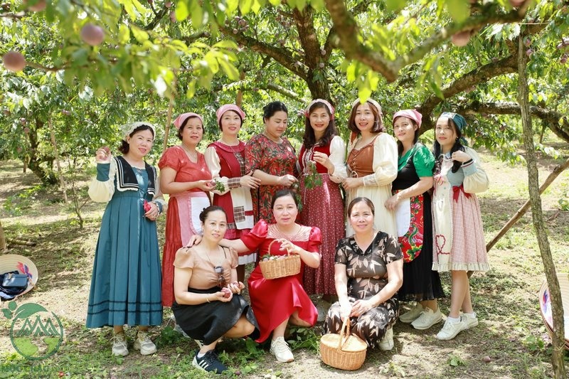 Du lịch Mộc Châu tháng 6, tháng 7 và những điều bạn cần biết