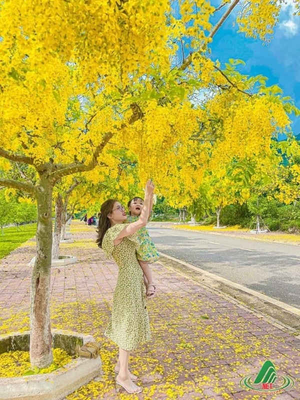 Du lịch Mộc Châu tháng 6, tháng 7 và những điều bạn cần biết