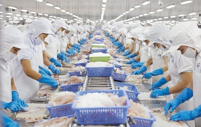 Tin tức kinh tế ngày 22/6: Xuất khẩu thủy sản khó phục hồi trong năm 2023