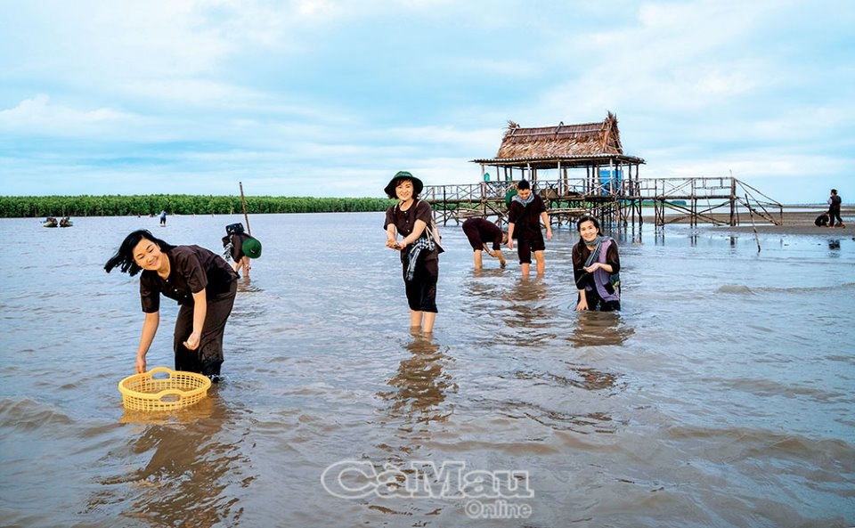 Trải nghiệm bãi nghêu