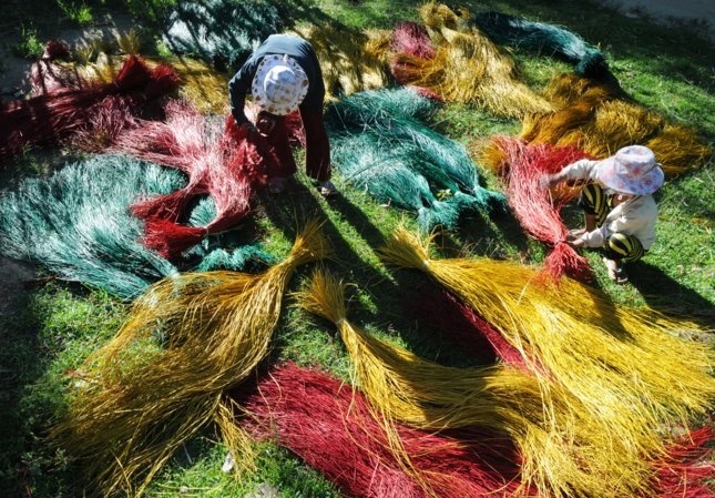 Đẹp nao lòng mùa thu hoạch cói ở Kim Sơn – Ninh Bình Đẹp nao lòng mùa thu hoạch cói ở Kim Sơn – Ninh Bình