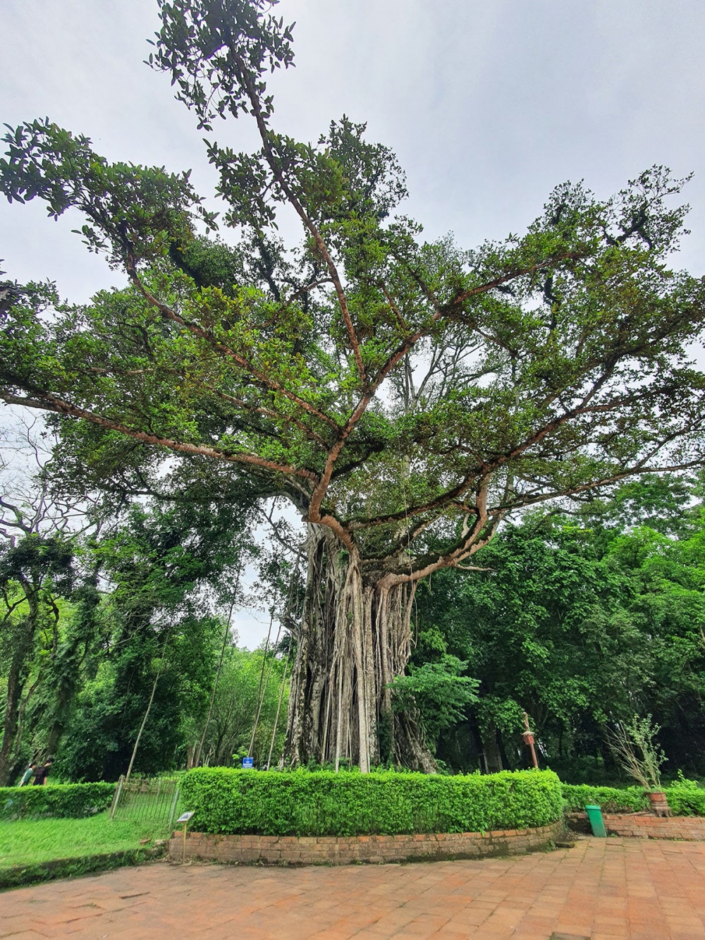 Lam Kinh - Tìm về nơi cố đô Lam Kinh Tìm về nơi cố đô